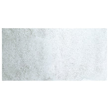 Cargar imagen en el visor de la galería, Acuarela L'Aquarelle Sennelier 10 ml 029 Plata Irisdiscente S4