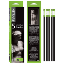 Cargar imagen en el visor de la galería, Fusains B Nitram