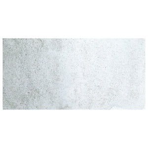 Acuarela L'Aquarelle Sennelier 10 ml 029 Plata Irisdiscente S4