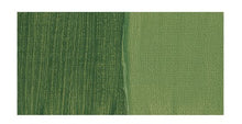 Cargar imagen en el visor de la galería, Acrílico Abstract Sennelier 819 Verde savia Pouch 120 ml

