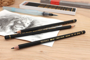 Set Lápices de Grafito acuarelables Technalo Caran D'ache 6 piezas
