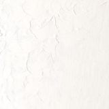 Cargar imagen en el visor de la galería, Óleo Winton 200 ml  Blanco Titanio
