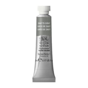 Acuarela Winsor & Newton 5 ml Gris de Davy