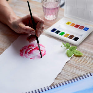 Acuarelas  La Petite L'Aquarelle Estuche de Viaje Sennelier 12 medias Pastillas