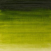 Cargar imagen en el visor de la galería, Óleo Winton 37 ml Verde Vejiga/Sapo
