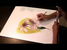 Cargar y reproducir el video en el visor de la galería, Lápices de color Luminance 6901 Caran D&#39;ache 40 piezas
